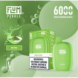 Flum Pebble 6000 Disposable