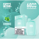 Flum Pebble 6000 Disposable